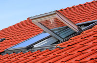 Nep Town roof window